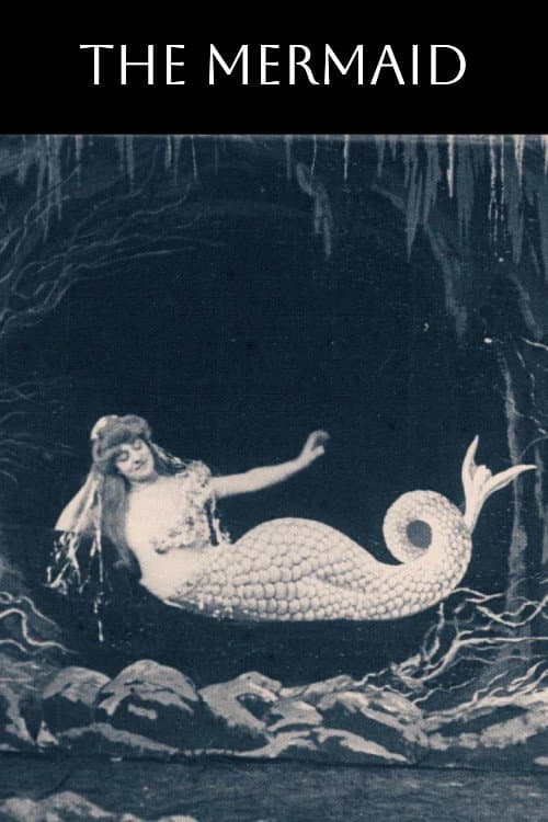 Póster de The Mermaid