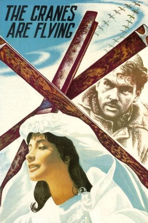 Póster de Cuando pasan las cigüeñas