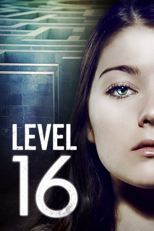 Póster de Nivel 16