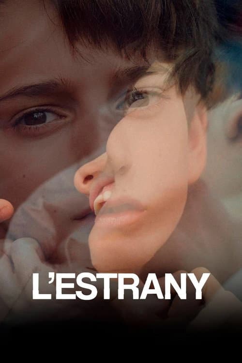 Póster de The Strange