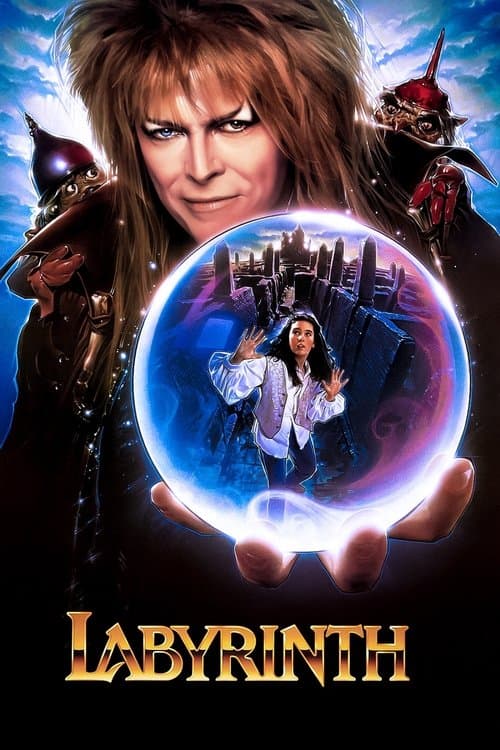 Póster de Dentro del laberinto
