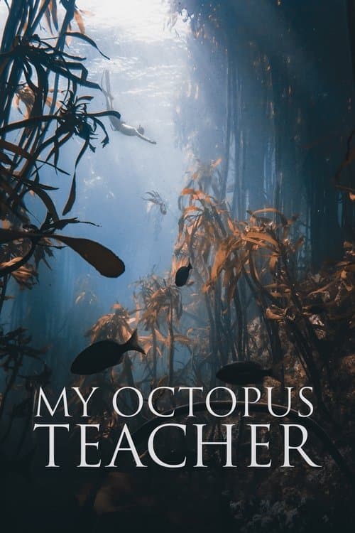 Póster de Lo que el pulpo me enseñó