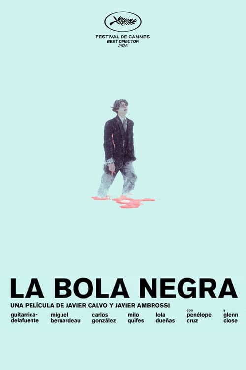 Póster de La bola negra