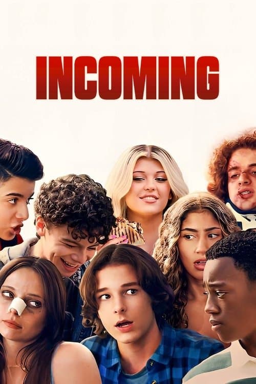 Póster de Inexpertos