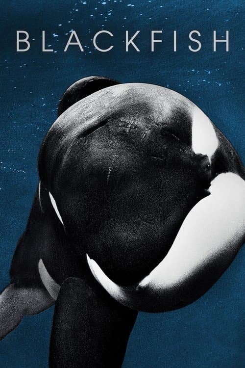Póster de Blackfish