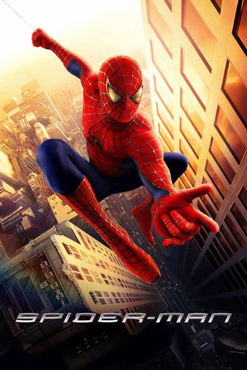 Póster de El hombre araña