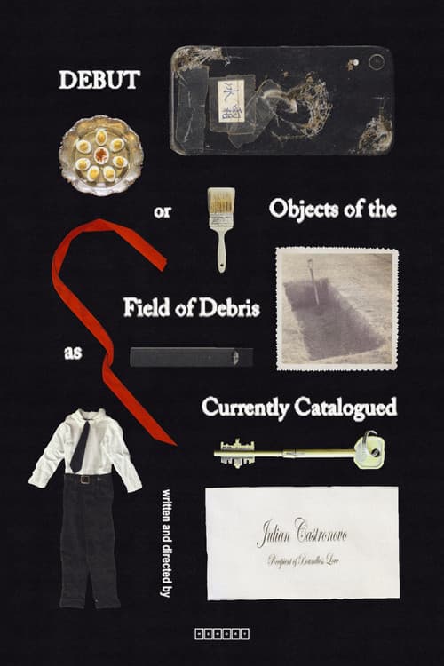 Póster de Debut, or, Objects of the Field of Debris as Currently Catalogued