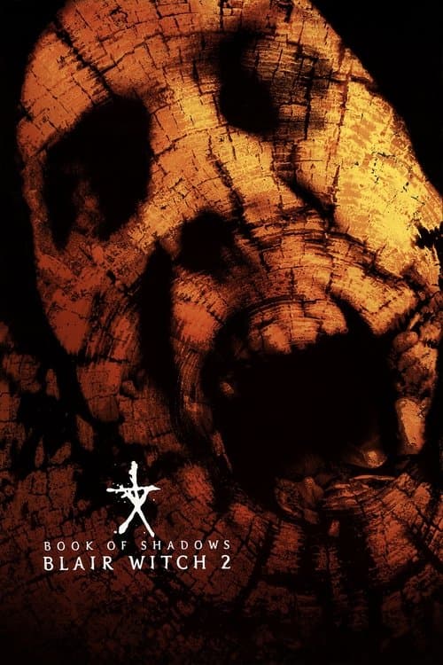 Póster de El libro de las sombras (BW2)