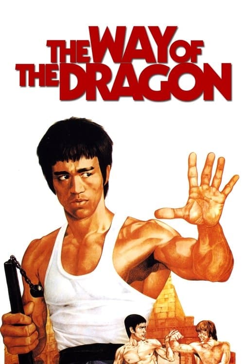 Póster de El furor del dragón