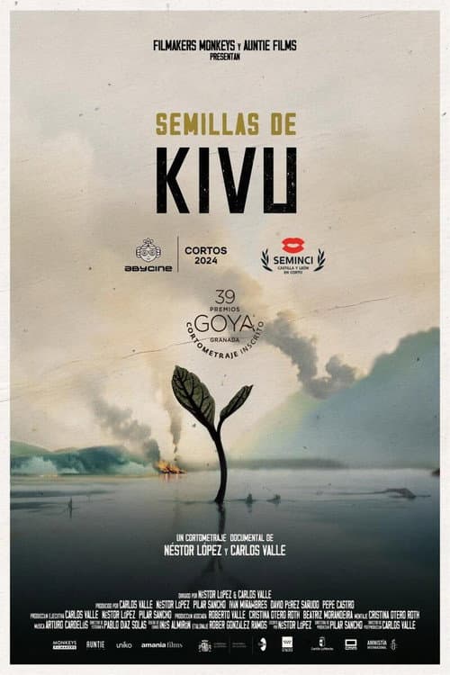 Póster de Seeds from Kivu