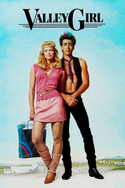 Póster de La chica del valle