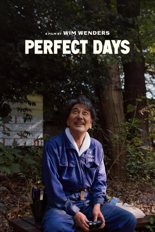 Póster de Días Perfectos