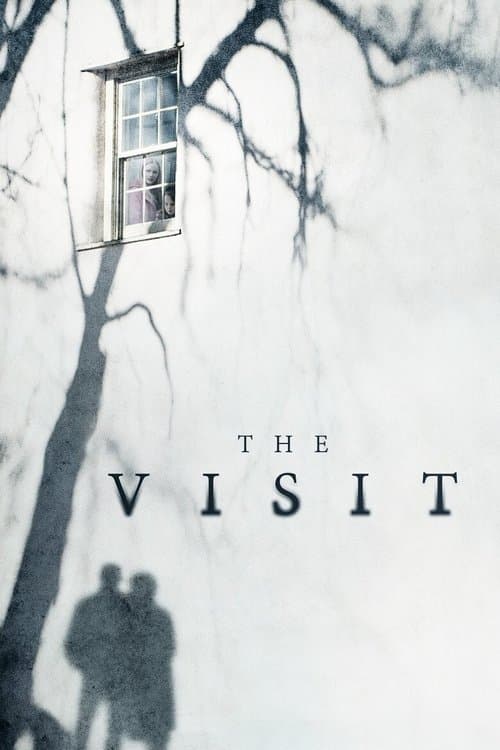 Póster de La visita