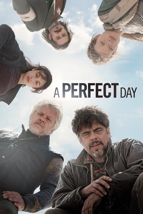 Póster de Un día perfecto