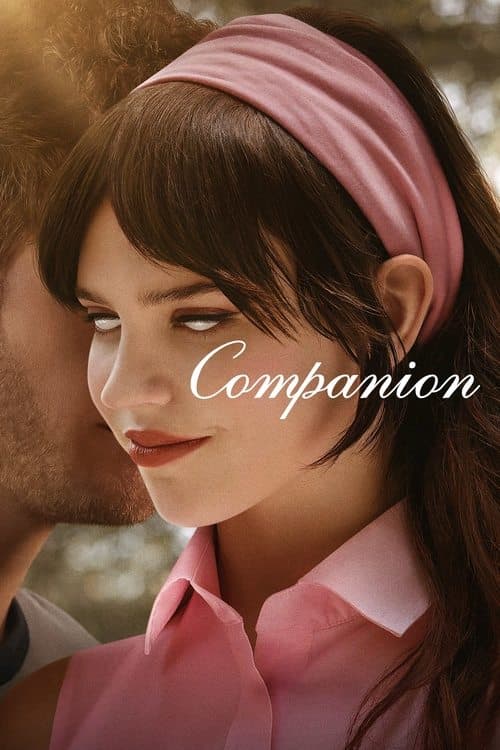 Póster de La acompañante