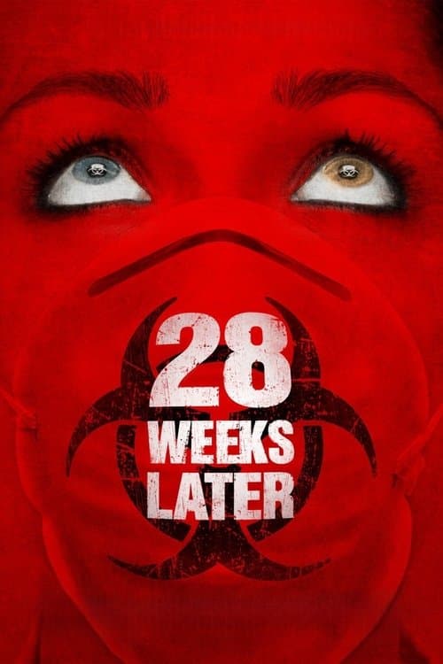 Póster de 28 semanas después