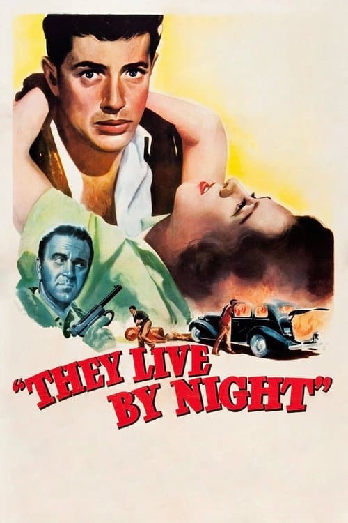 Póster de Los amantes de la noche