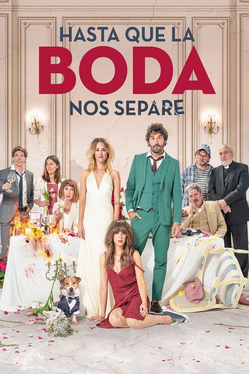 Póster de The Wedding Unplanner
