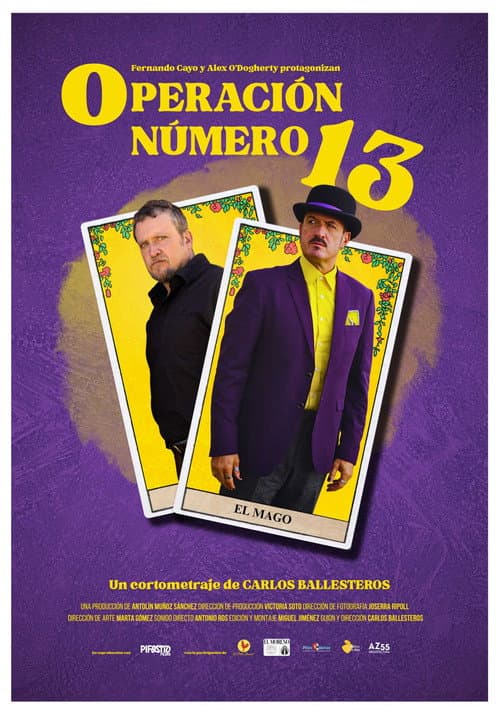 Póster de Operación número 13