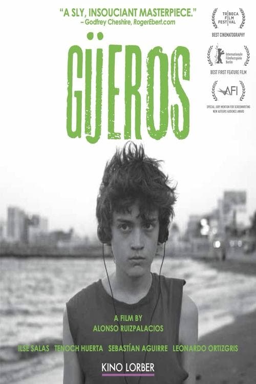 Póster de Güeros