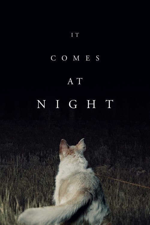 Póster de Llega de noche