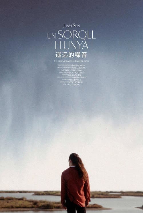 Póster de A Distant Noise
