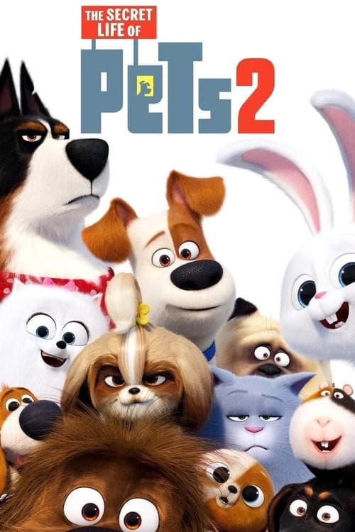Póster de Mascotas 2