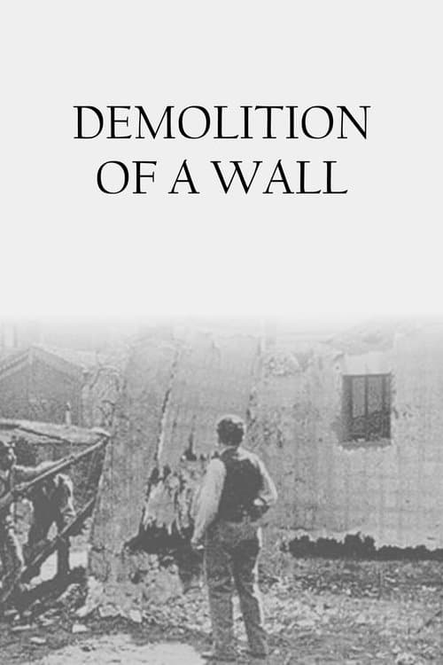 Póster de Demolition of a Wall