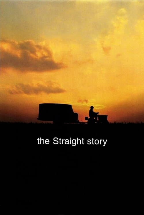 Póster de Una historia verdadera