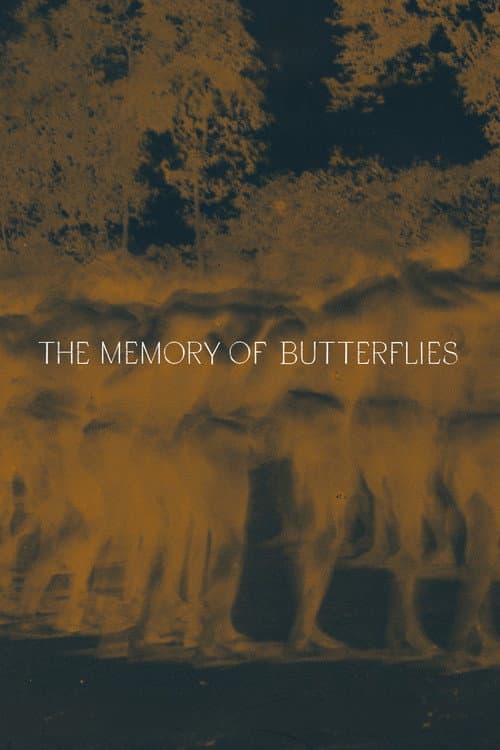 Póster de La memoria de las mariposas