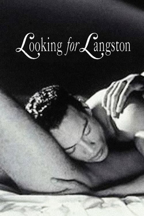 Póster de Looking for Langston