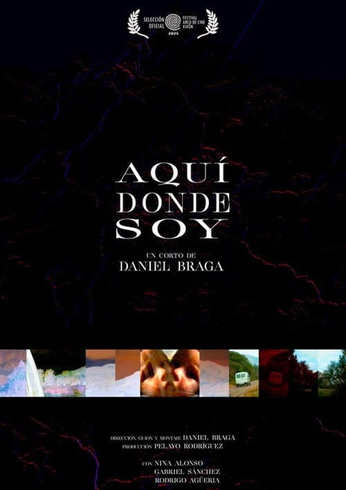 Póster de Aquí donde soy
