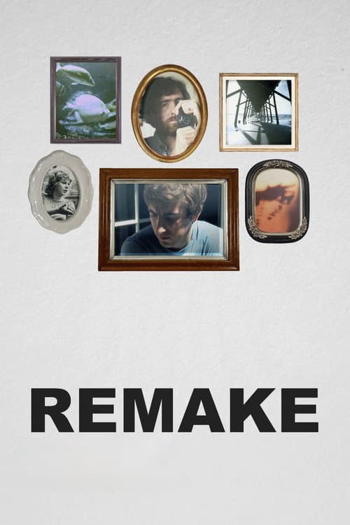 Póster de Remake
