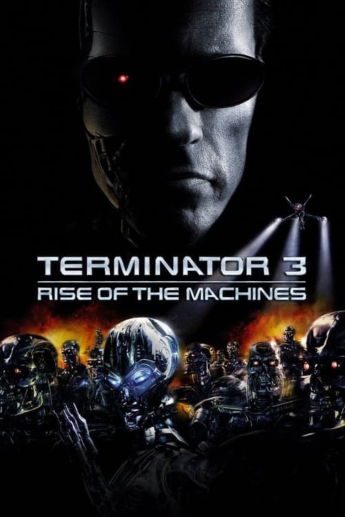 Póster de Terminator 3: La rebelión de las máquinas