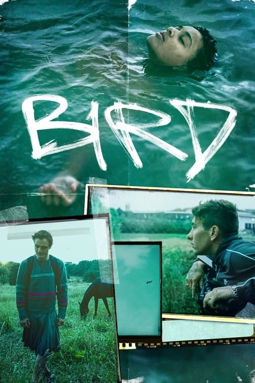 Póster de Bird