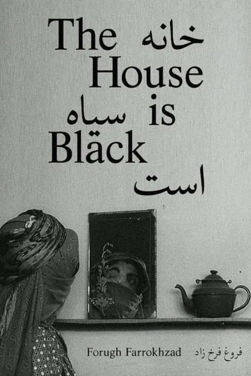 Póster de La casa es negra