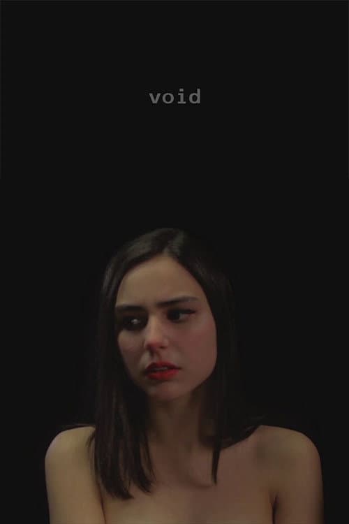 Póster de Void
