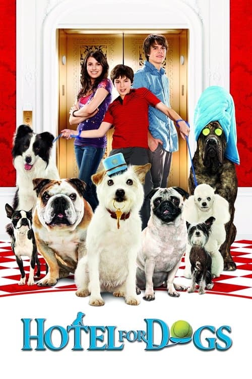 Póster de Hotel para perros