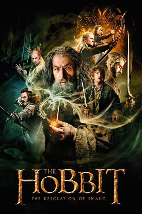 Póster de El hobbit: La desolación de Smaug