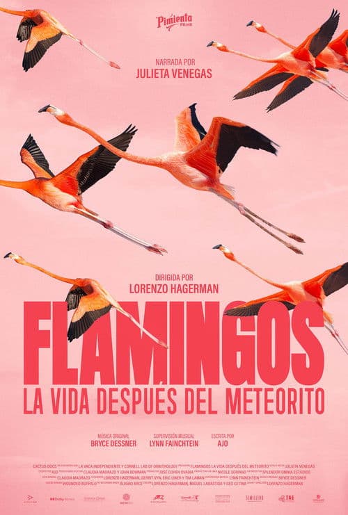 Póster de Flamingos: La vida después del meteorito