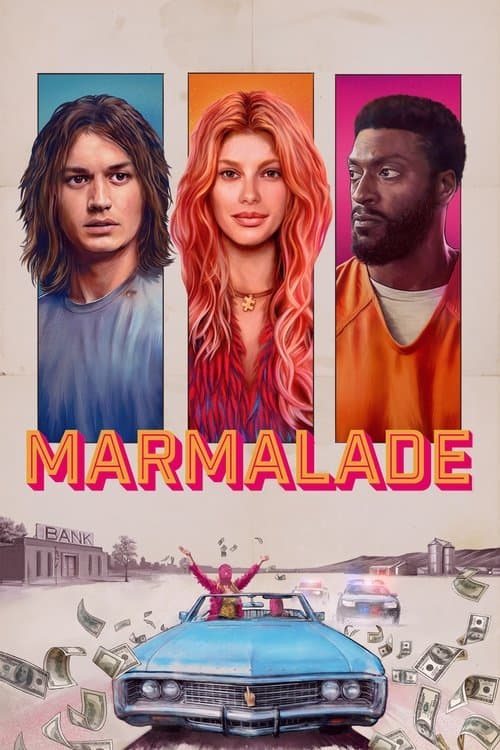 Póster de Cómplice en fuga