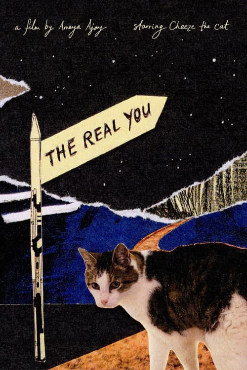 Póster de The Real You